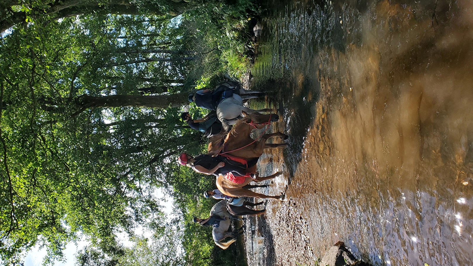 Week End Yoga et équitation