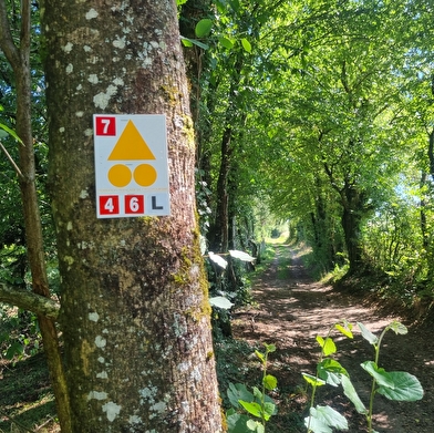 Circuit VTC-Gravel n°6 (rouge) Chemins des bois de Bresse