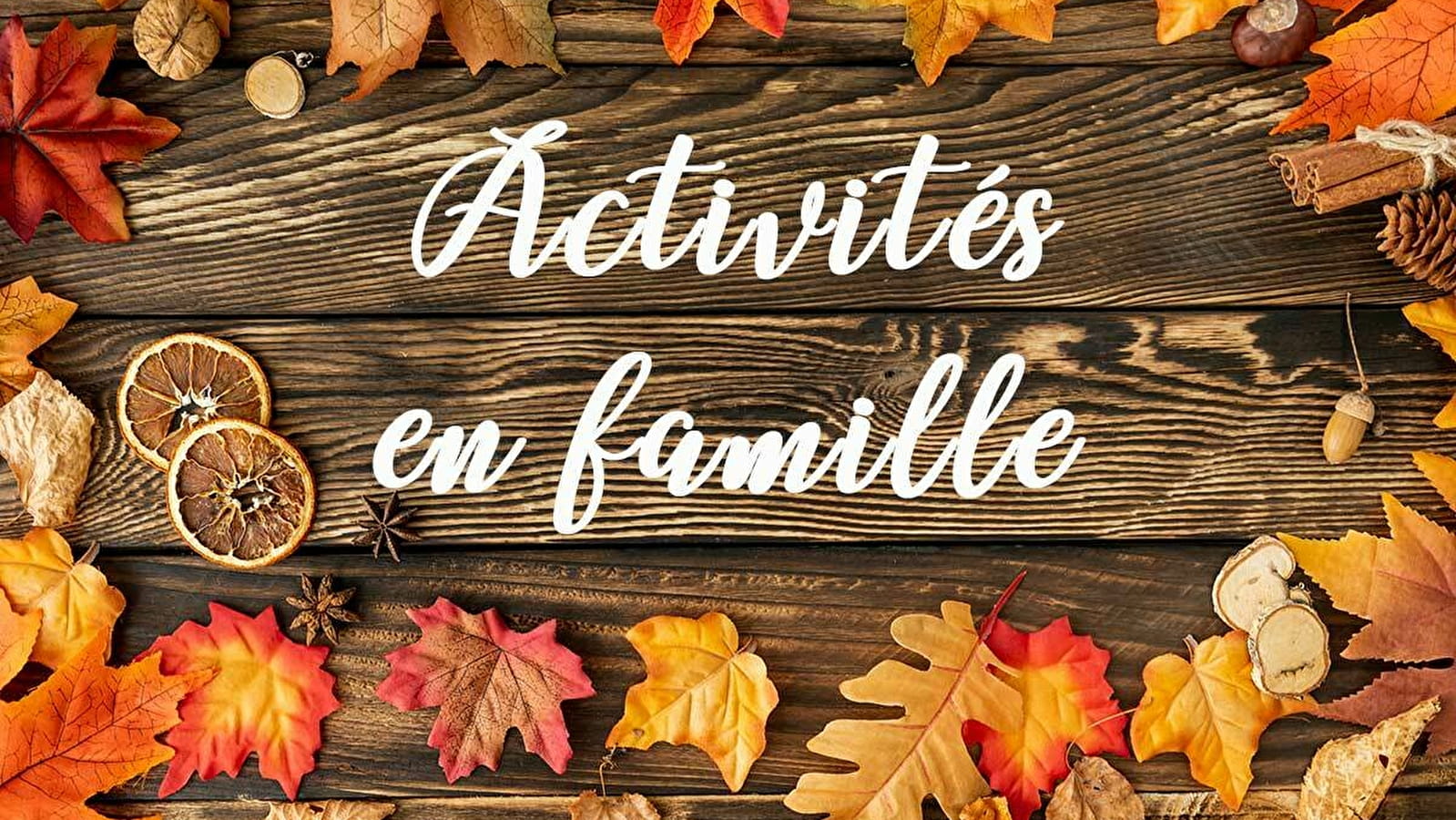 Activités a faire en famille pendant les vacances de la Toussaint