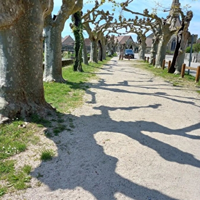 Repos en bord de Seille