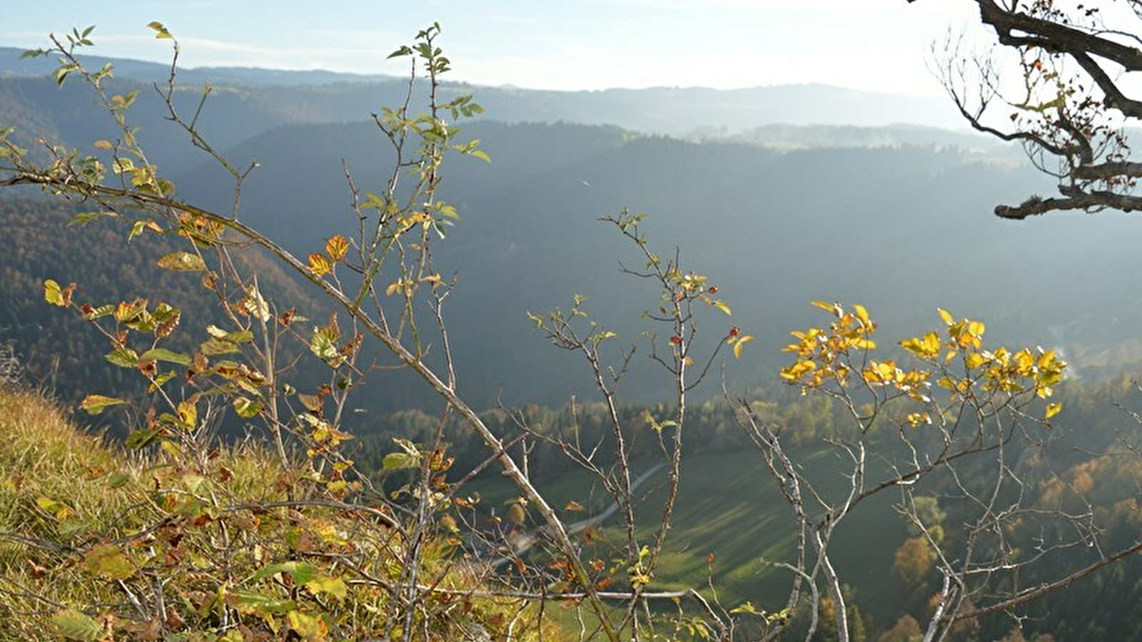 Belvédère la Cendrée