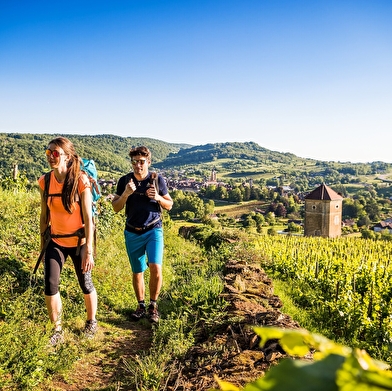 GR 59 de Dole à Saint-Jean-d'Étreux