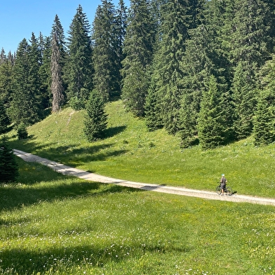 Circuit VTTAE - les Hautes Combes