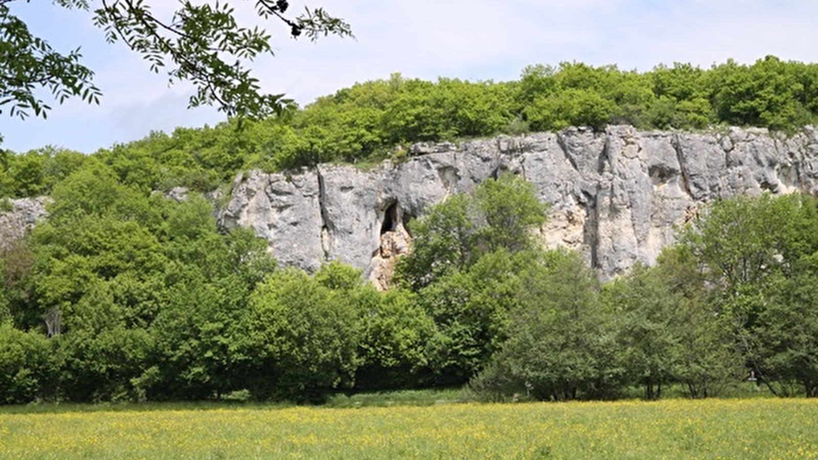 Journée de sensibilisation à la biodiversité à Mailly-le-Château (89)