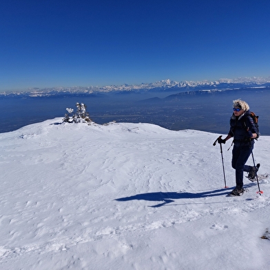 Sentier raquettes : du Télécabine du Fierney au Crêt de la Neige