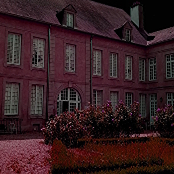 Nuit Européenne des musées : Muséum en couleurs - AUTUN