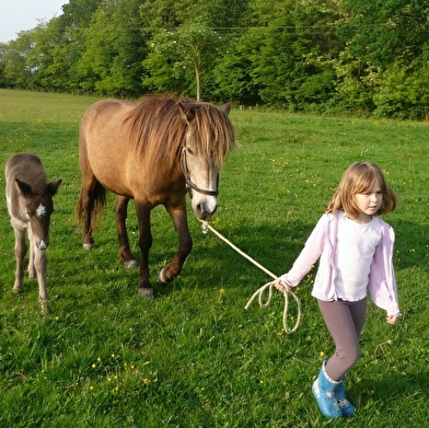 Domaine de la Loge - Loisirs de pleine nature