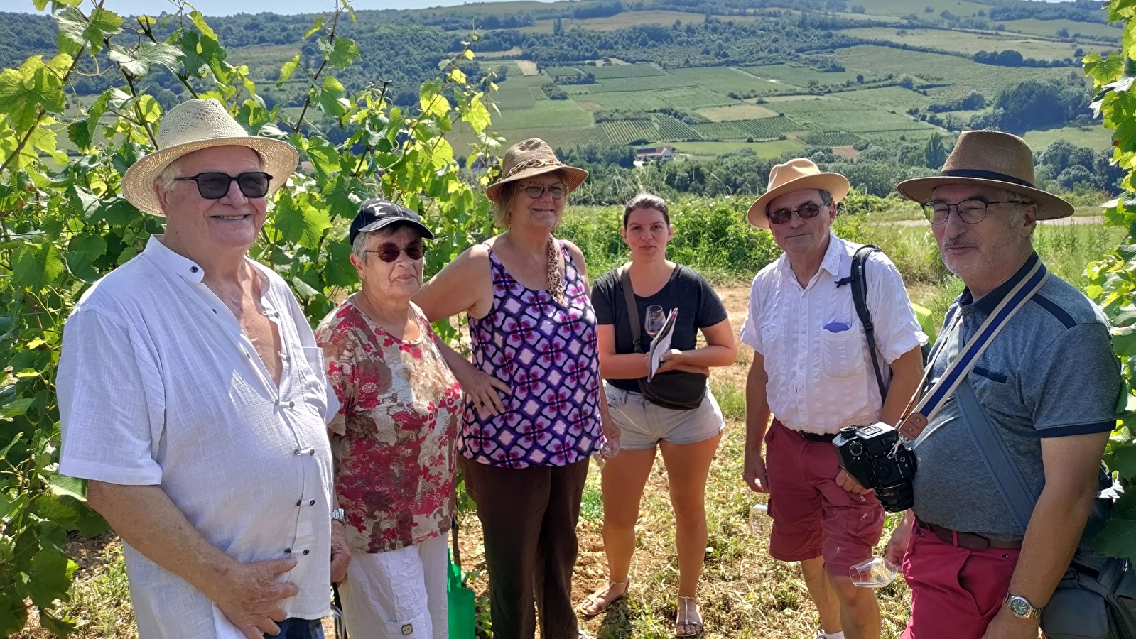 Les Climats vus des Hautes Cotes