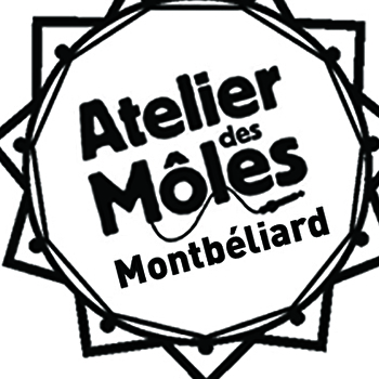 Concert : The Baboon Show + Guest - MONTBELIARD