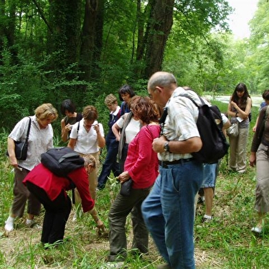 Balades et Randonnées en Morvan avec Dominique Guide de Pays/ Naturopathe