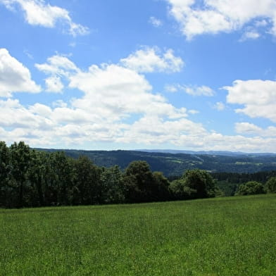 Point de vue le Seud