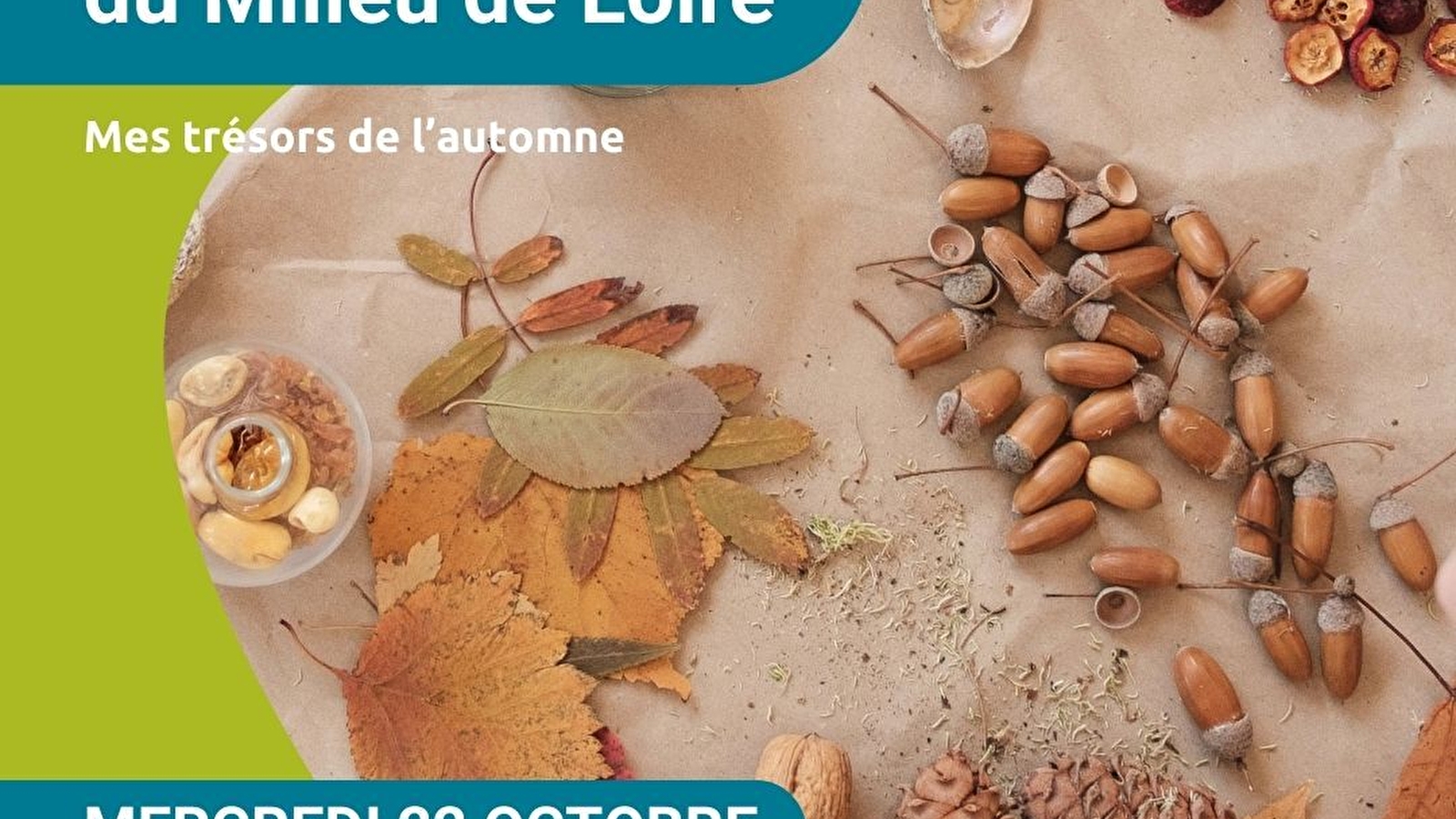 Les Aventuriers du Milieu de Loire : journée nature pour les 6-12 ans, spéciale 'Mes trésors de l'automne'