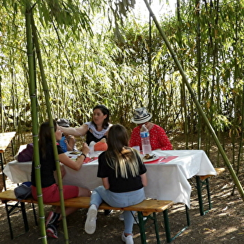 Teddy Bears Picnic - LOUHANS