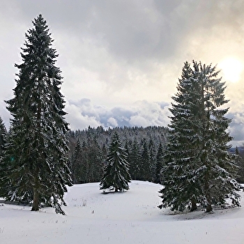 Site Nordique de Foncine-le-Haut - FONCINE-LE-HAUT