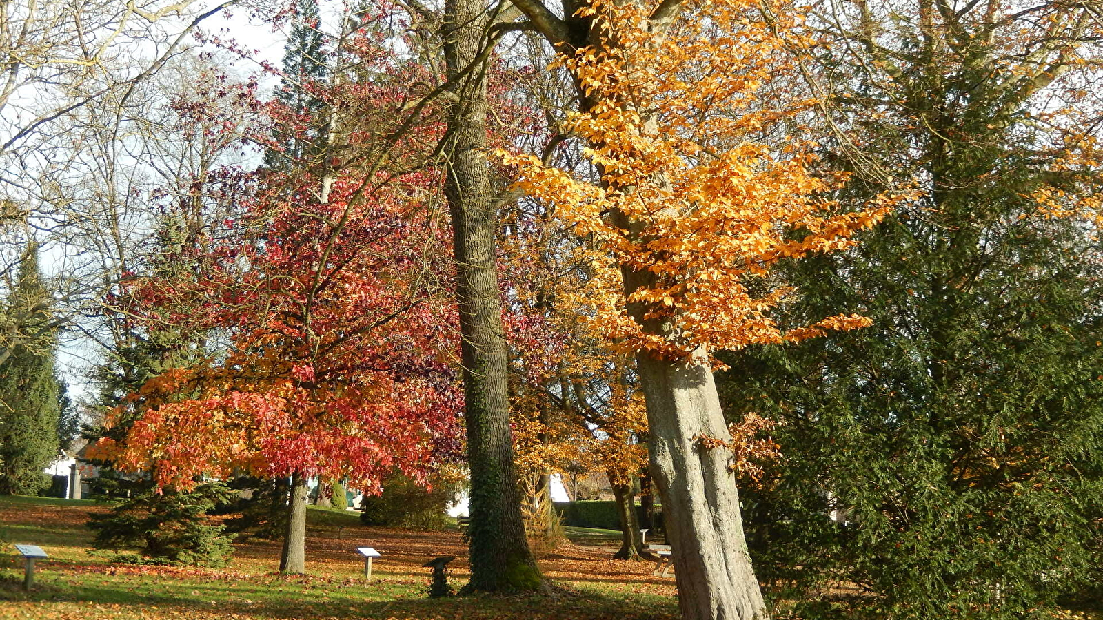 Parc des Lauriers