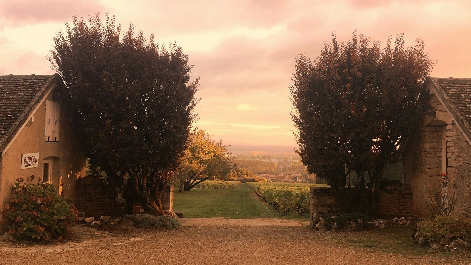 Domaine de la Folie