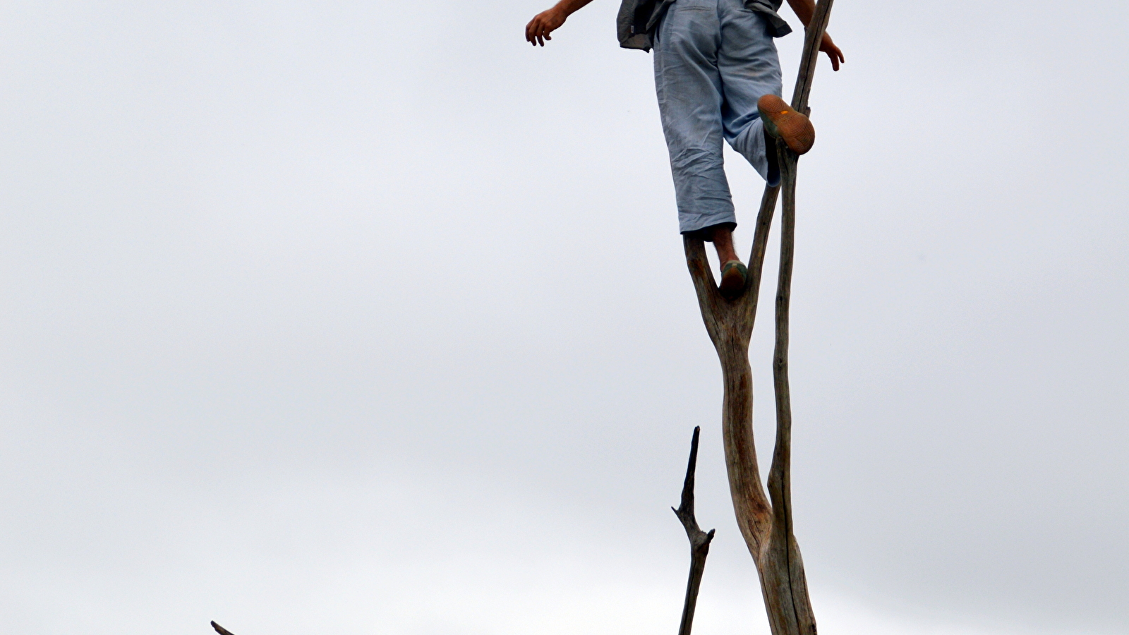Acrobaties : Nanabozho (Festival Nuits des forêts 2025) - Parc national de forêts