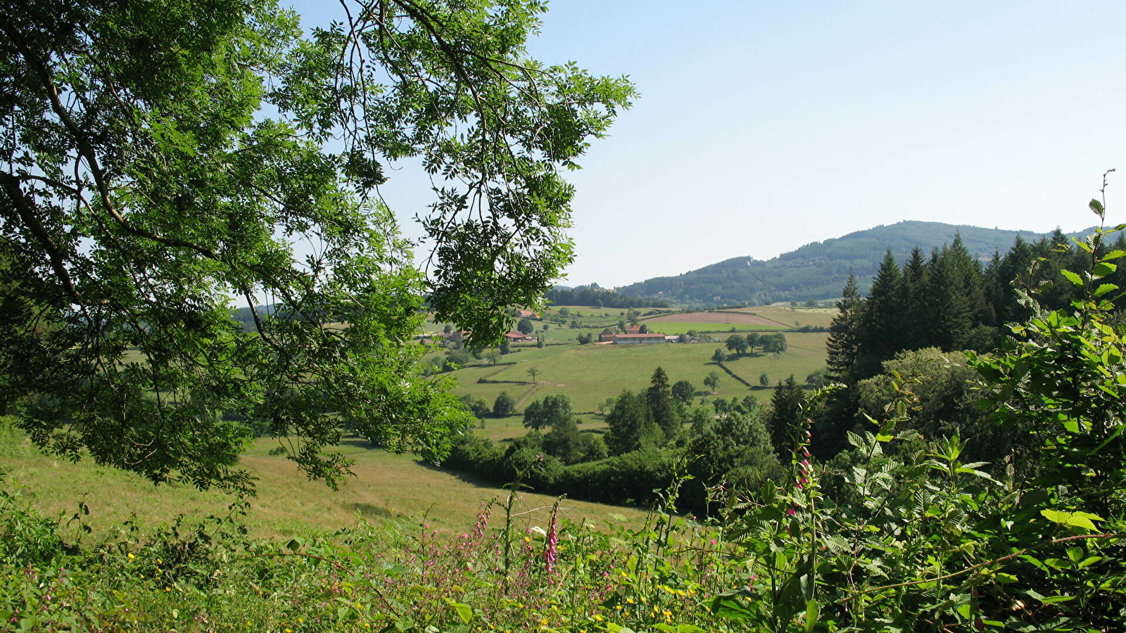 Circuit des Collines