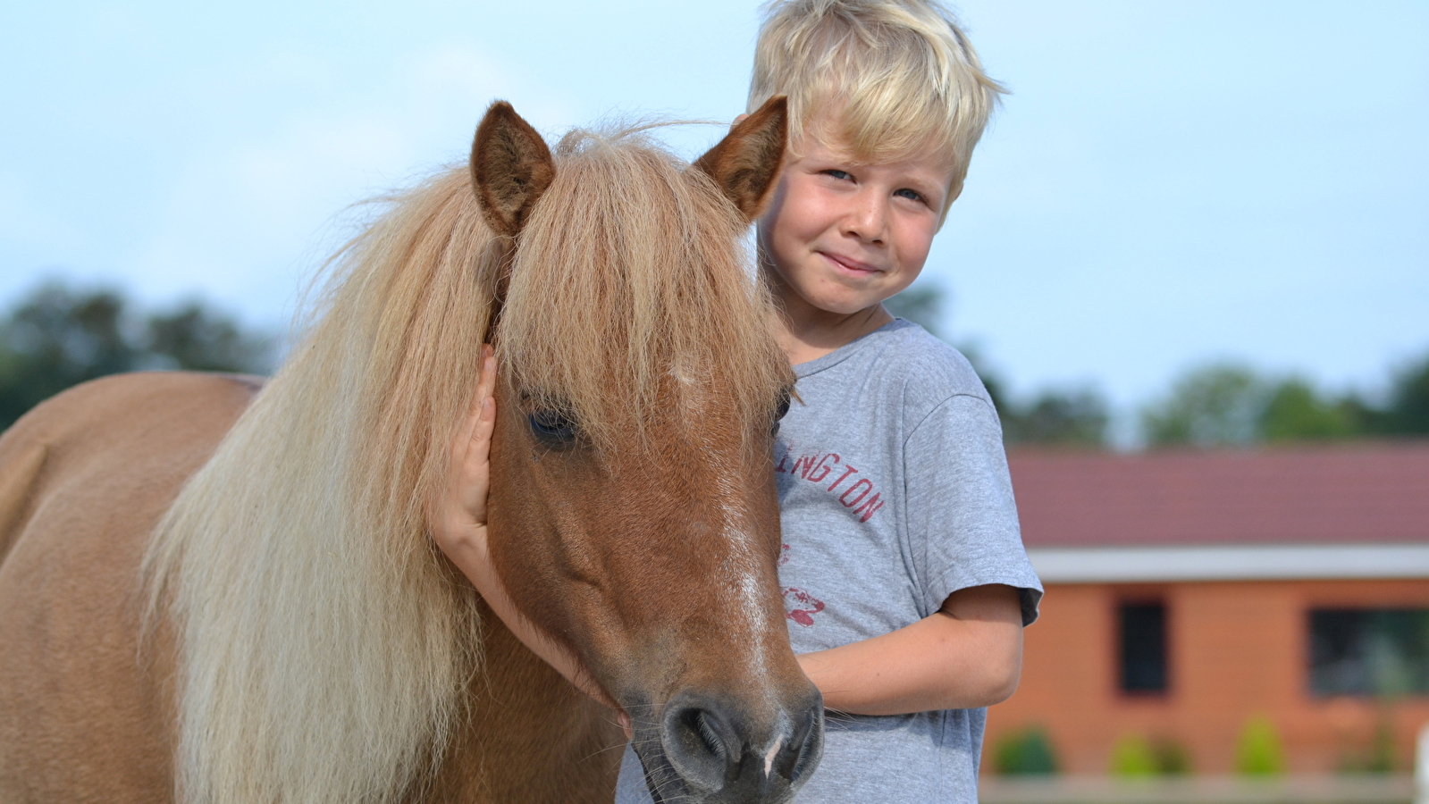 Centre Equestre de la Tuilerie