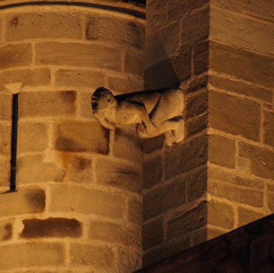 Visite guidée nocturne 'Les visiteurs du soir'