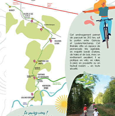 Voie verte  : le chemin vert
