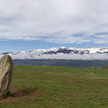Randonnée pédestre : Grilly - le Mont Mourex - GRILLY