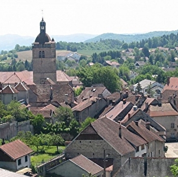 Tour du Mont Orgier - 1V - ORGELET