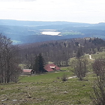 Les Rochers du Larmont - PONTARLIER