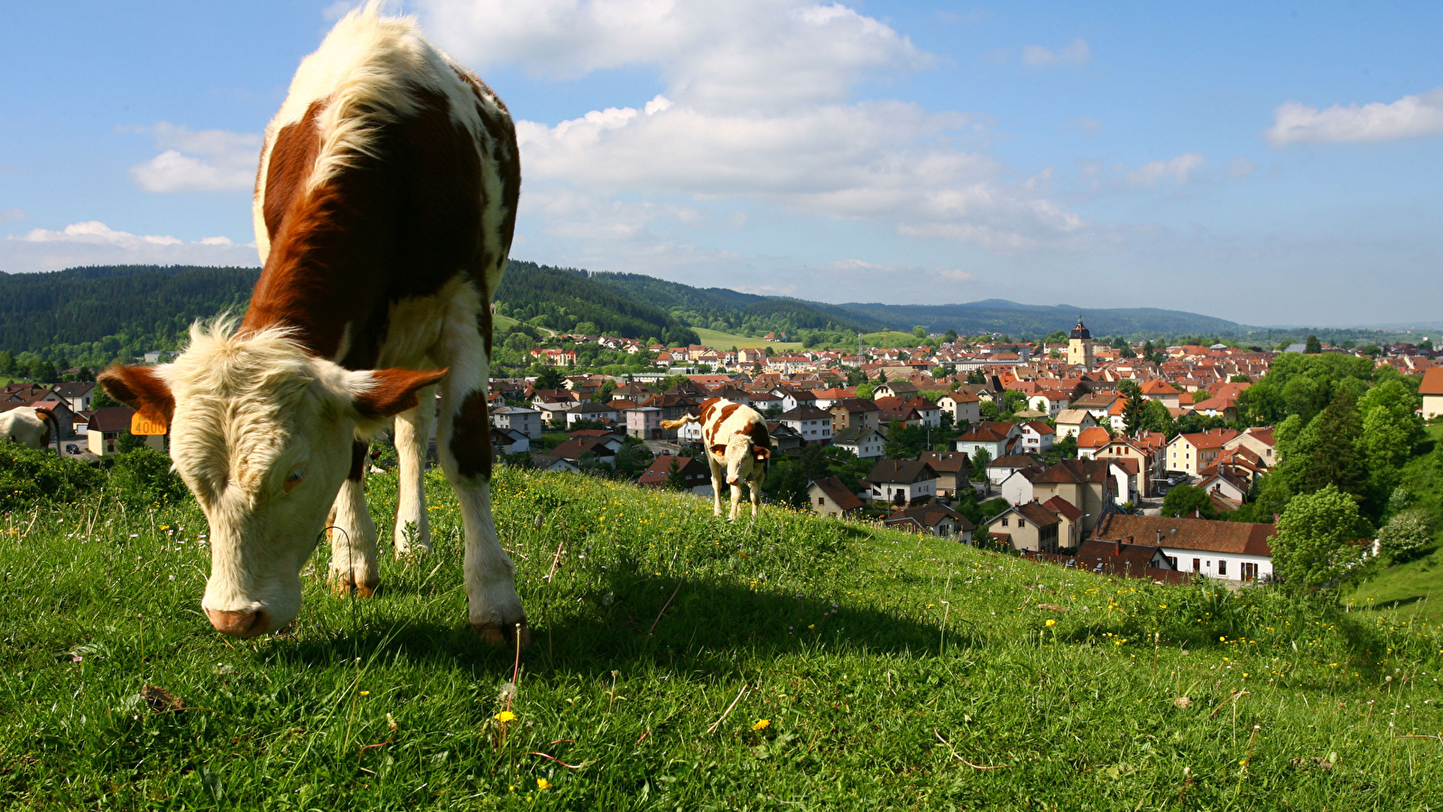 Visite commentée de la ville de Pontarlier
