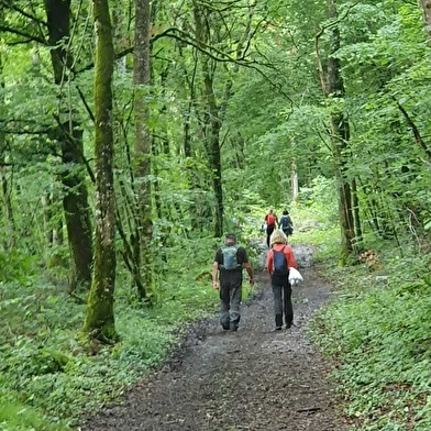 Course nature de Boudreville -Dancevoir