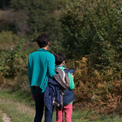 Balade numérique à Saint-Brisson sur la piste de la musaraigne