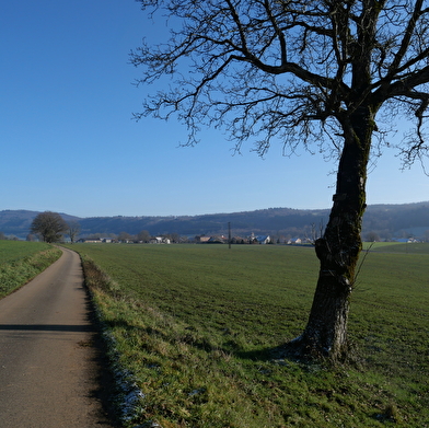 La Guerre des Boutons