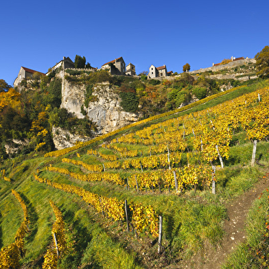 Découverte des Plus Beaux Villages de France