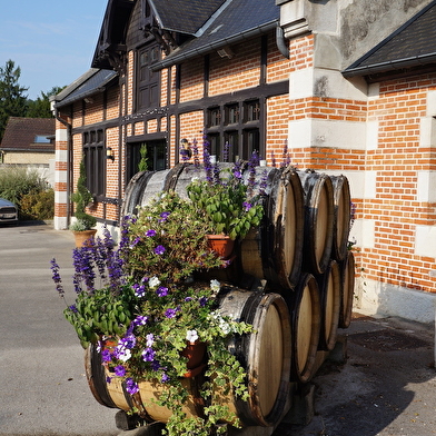 Visite guidée du vignoble de la Côte de Beaune