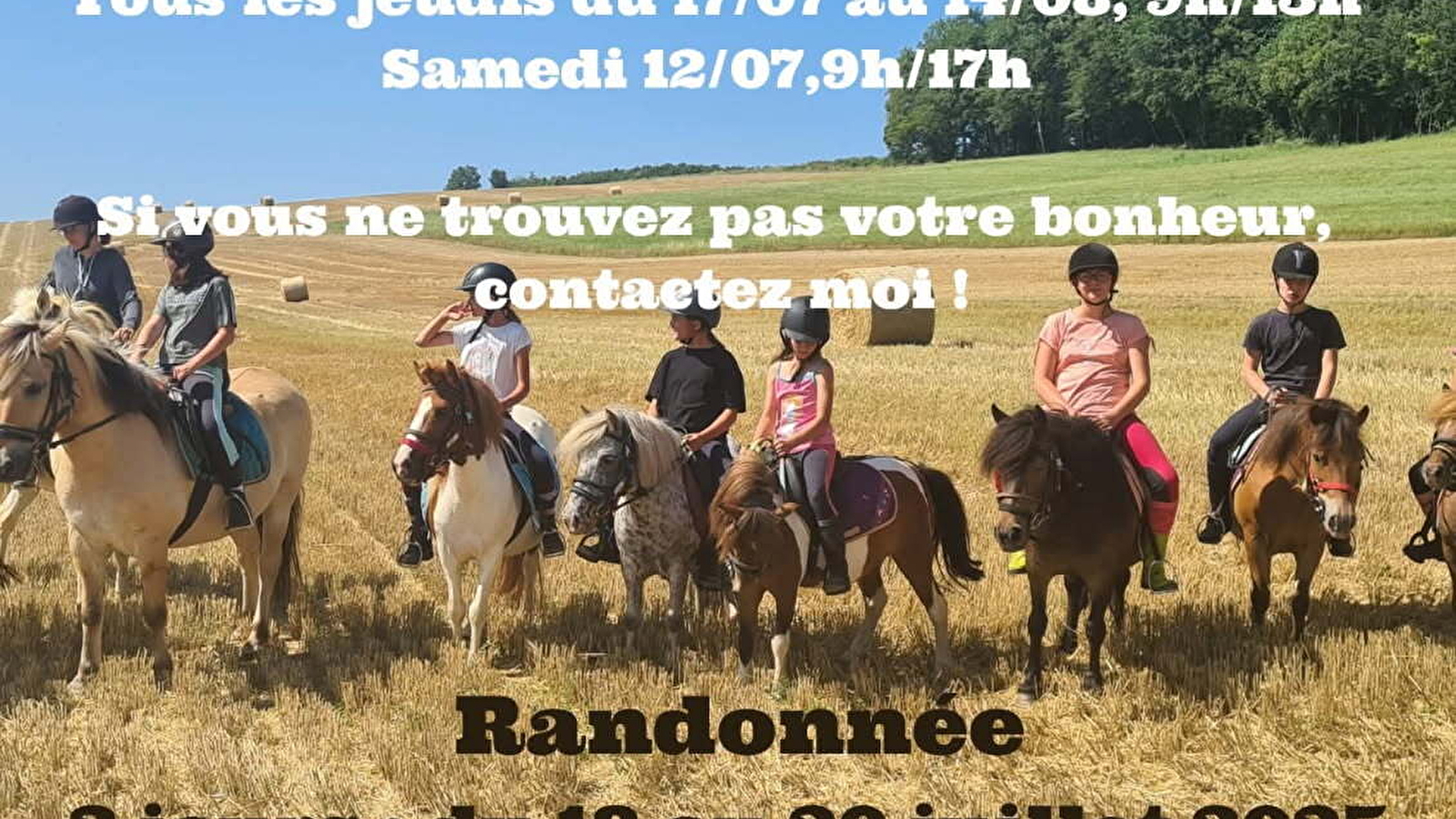 Randonnées équestres débutants