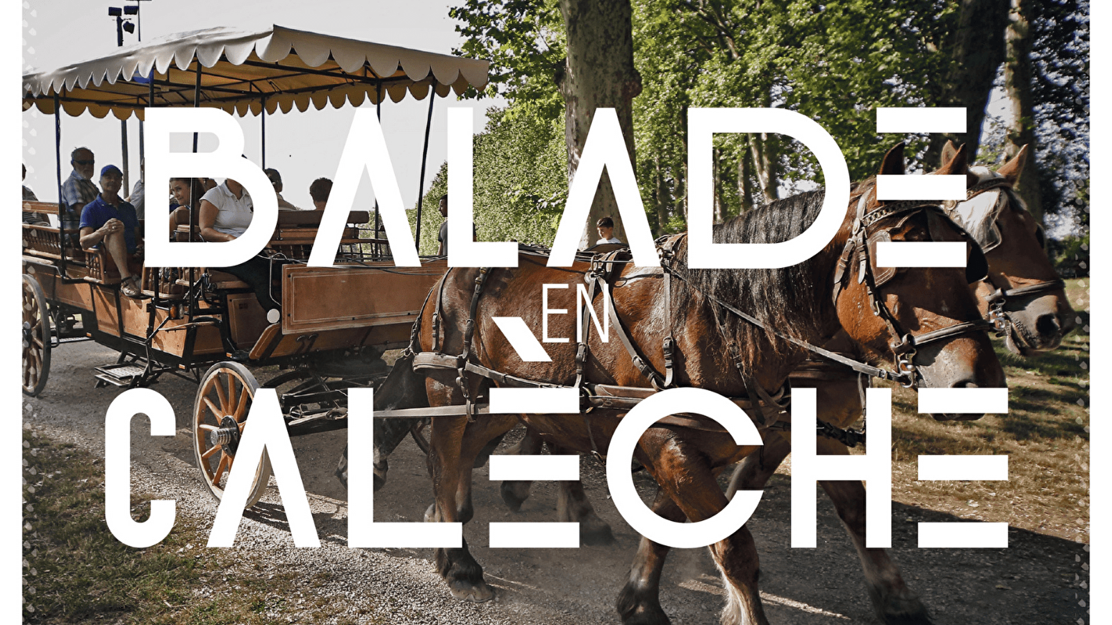 Balade en calèche