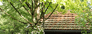 RDV aux Jardins au jardin 'Un p'tit coin de charme' - VELARS-SUR-OUCHE