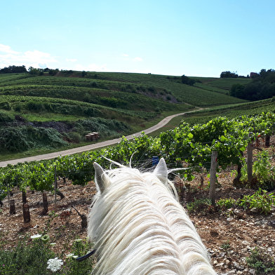 À Cheval dans l'Yonne