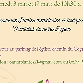 Sorties botaniques - LANTENAY