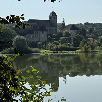 Etangs de Rigney