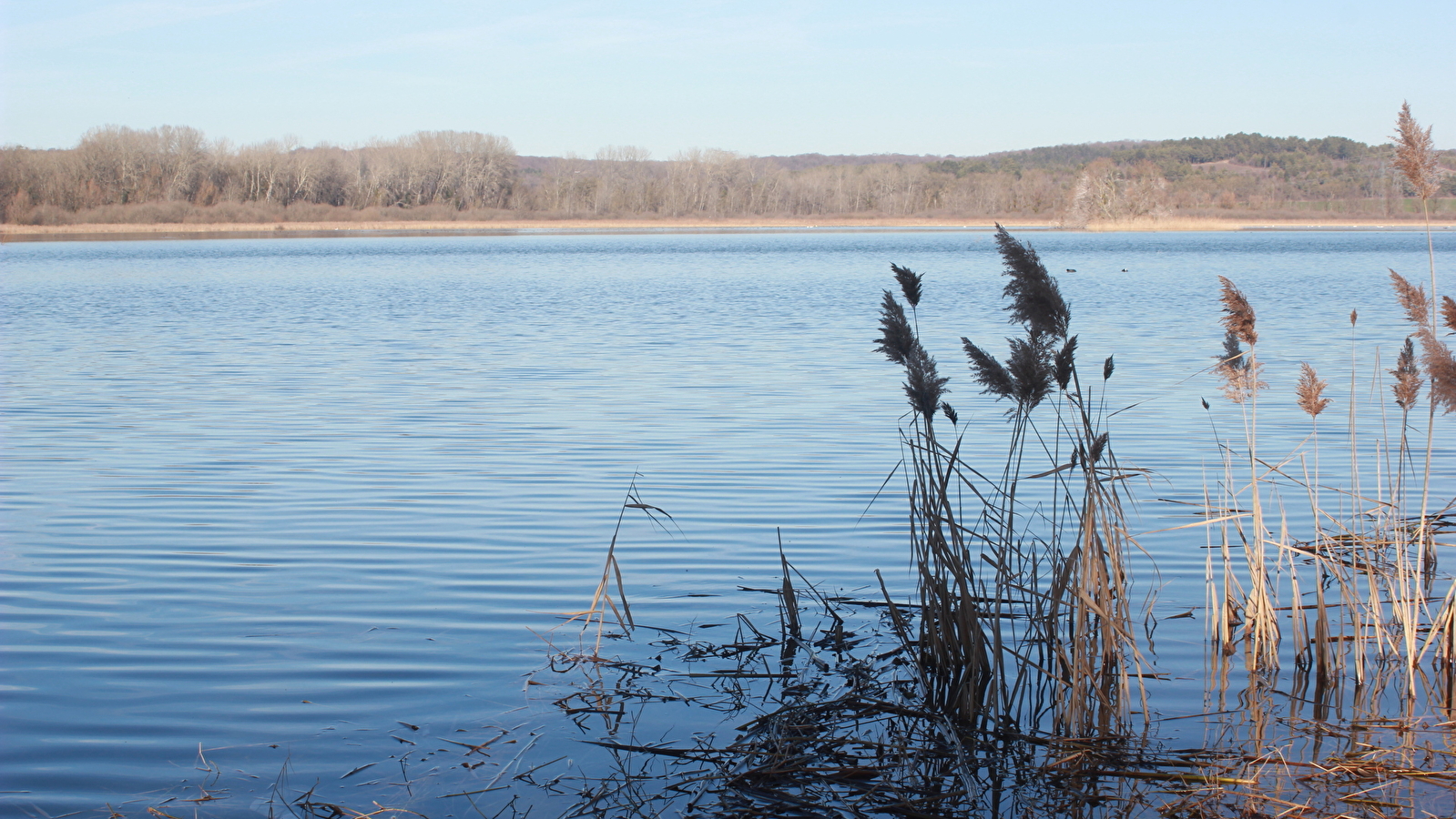 Lac de Marcenay