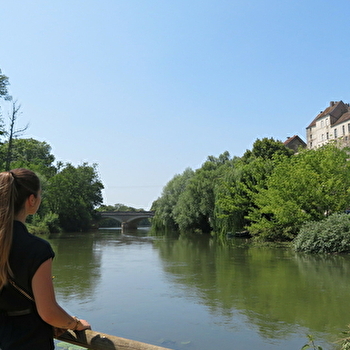 Ile de la sauvageonne - PESMES