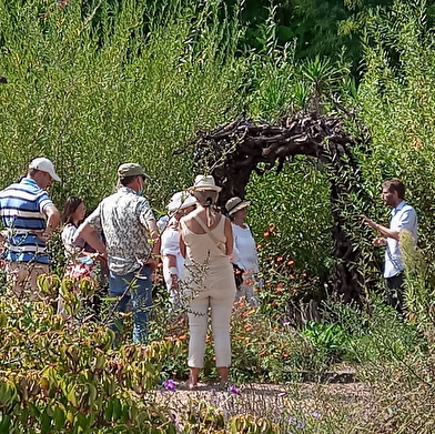 A la découverte des plantes sauvages de la Saline