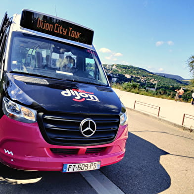 Dijon City Tour