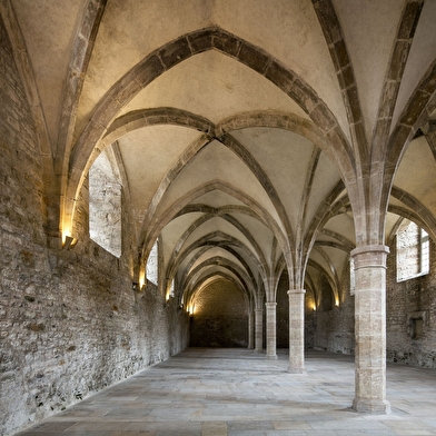 Abbaye de Cluny