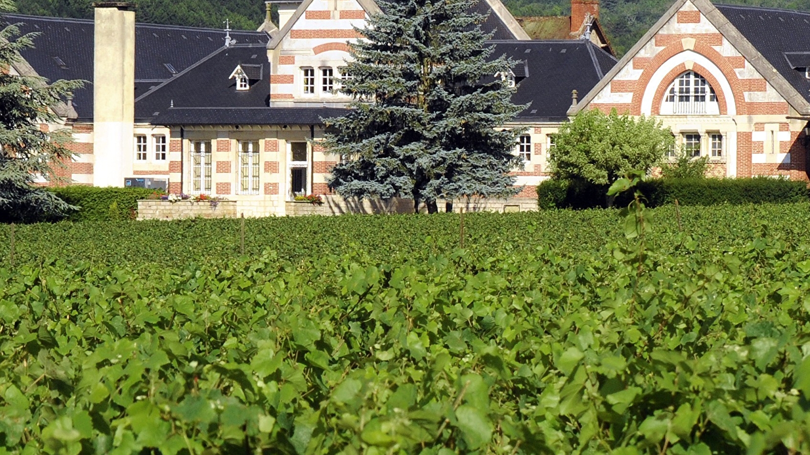 Escapade au Domaine Henri de Villamont