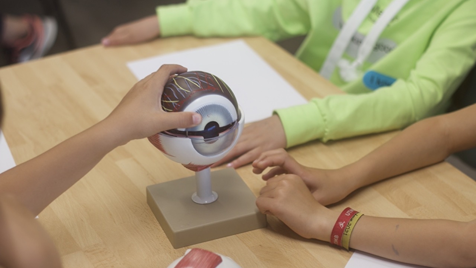 Fête de la Science : 'Les doigts dans l'oeil !'