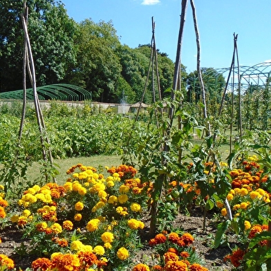 Rendez-vous aux Jardins au château de Montigny-sur-Aube