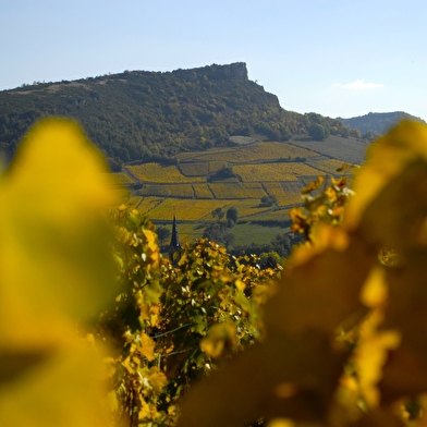 Domaine des Deux Roches - Collovray & Terrier