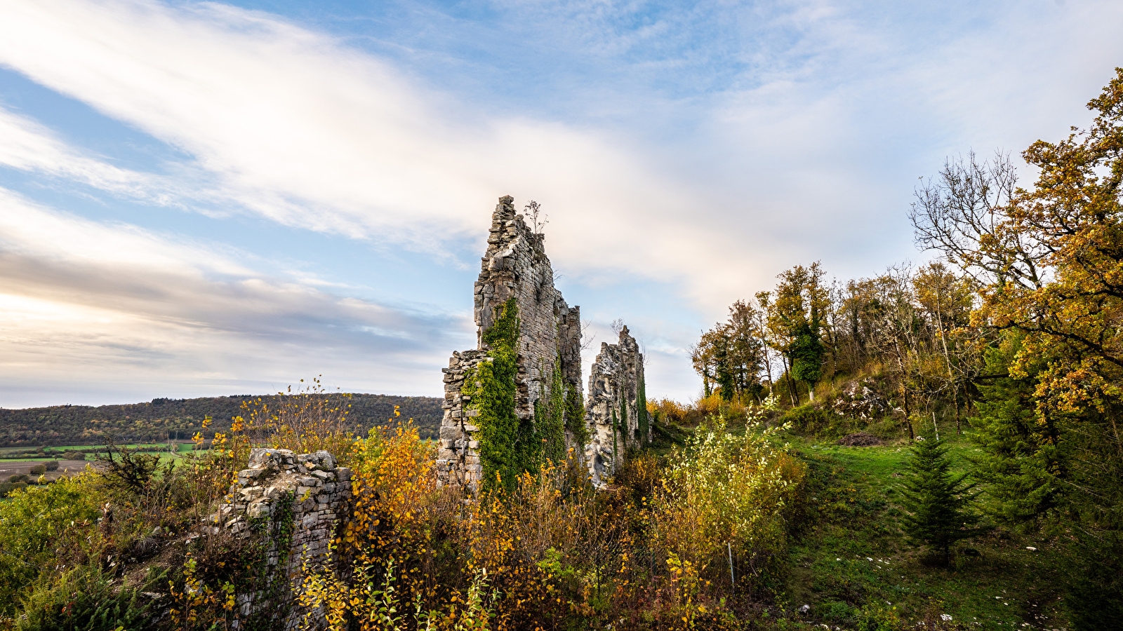 Vestiges du château de la Tour-du-Meix